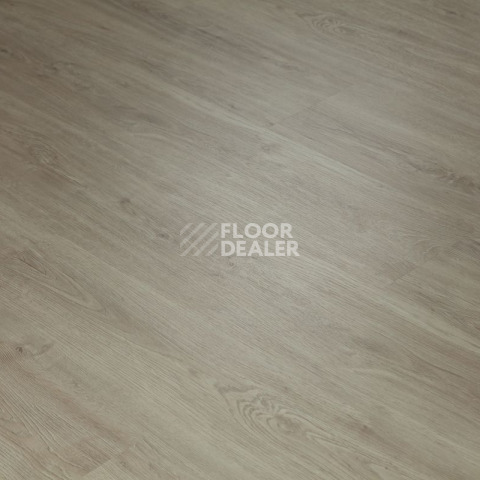 Tarkett Funky House GUSTO фото 5 | FLOORDEALER